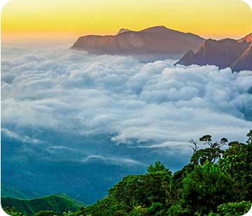 Munnar