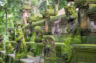 Sacred Monkey Forest Sanctuary