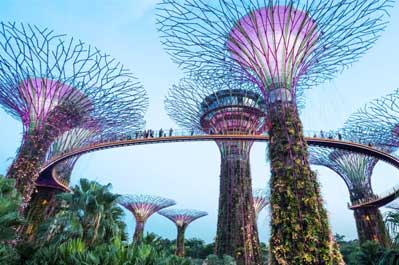 Gardens by the Bay