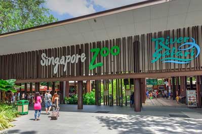 Zoo & Night Safari