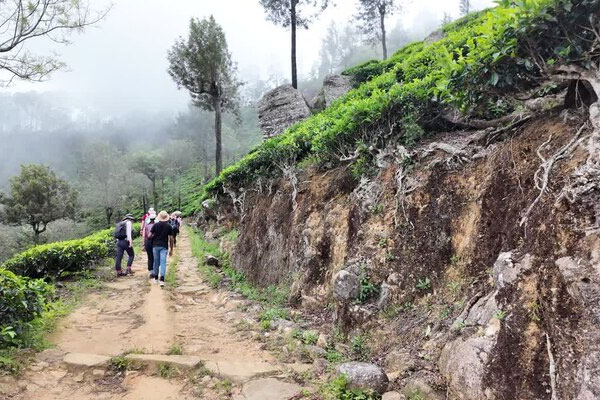 Ocean Leisure Infra gallery