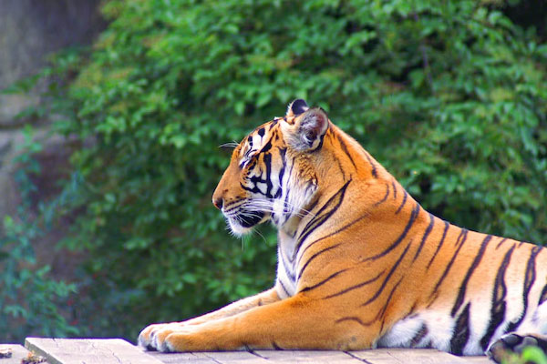 Ocean Leisure Infra gallery