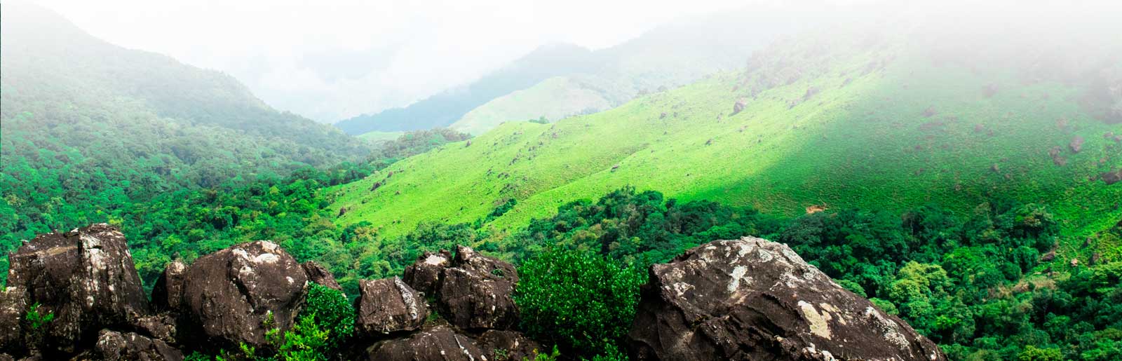 Ocean Leisure Infra Banner