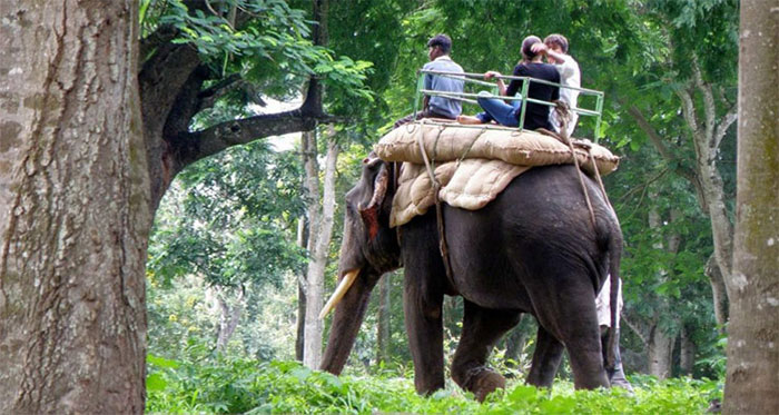 Ocean Leisure Infra gallery