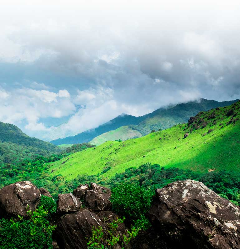 Ocean Leisure Infra Banner