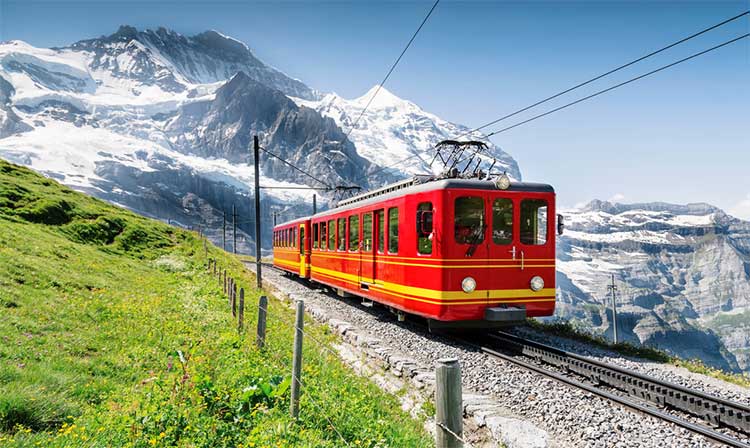 Ocean Leisure Infra gallery