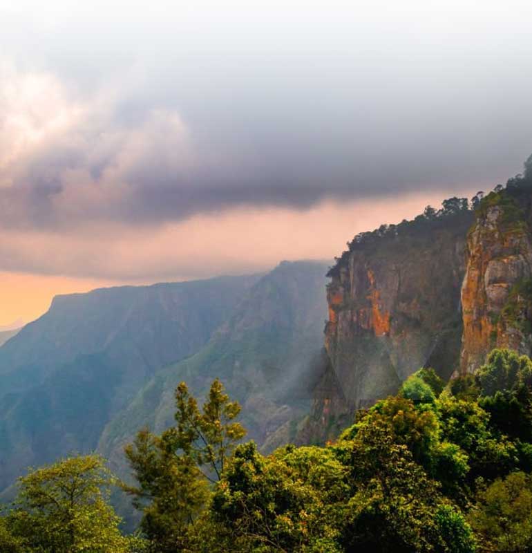 Ocean Leisure Infra Banner