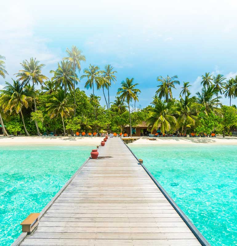 Ocean Leisure Infra Banner