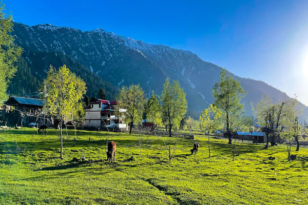 Ocean Leisure Infra gallery