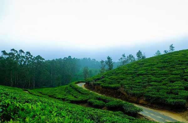 Ocean Leisure Infra gallery