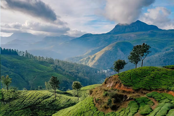 Ocean Leisure Infra gallery