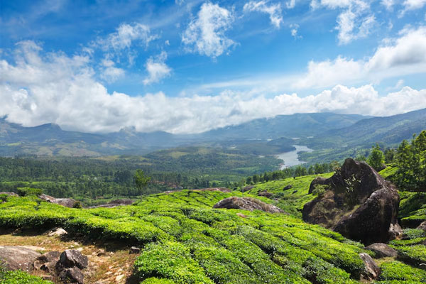 Ocean Leisure Infra gallery