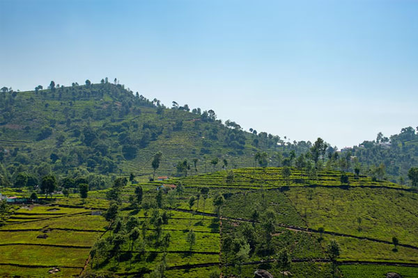 Ocean Leisure Infra gallery