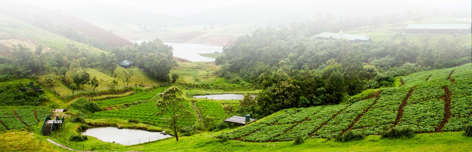 Ocean Leisure Infra Banner