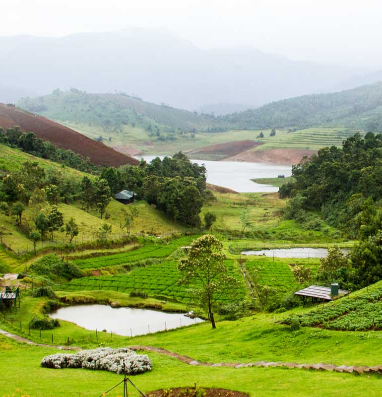 Ocean Leisure Infra Banner