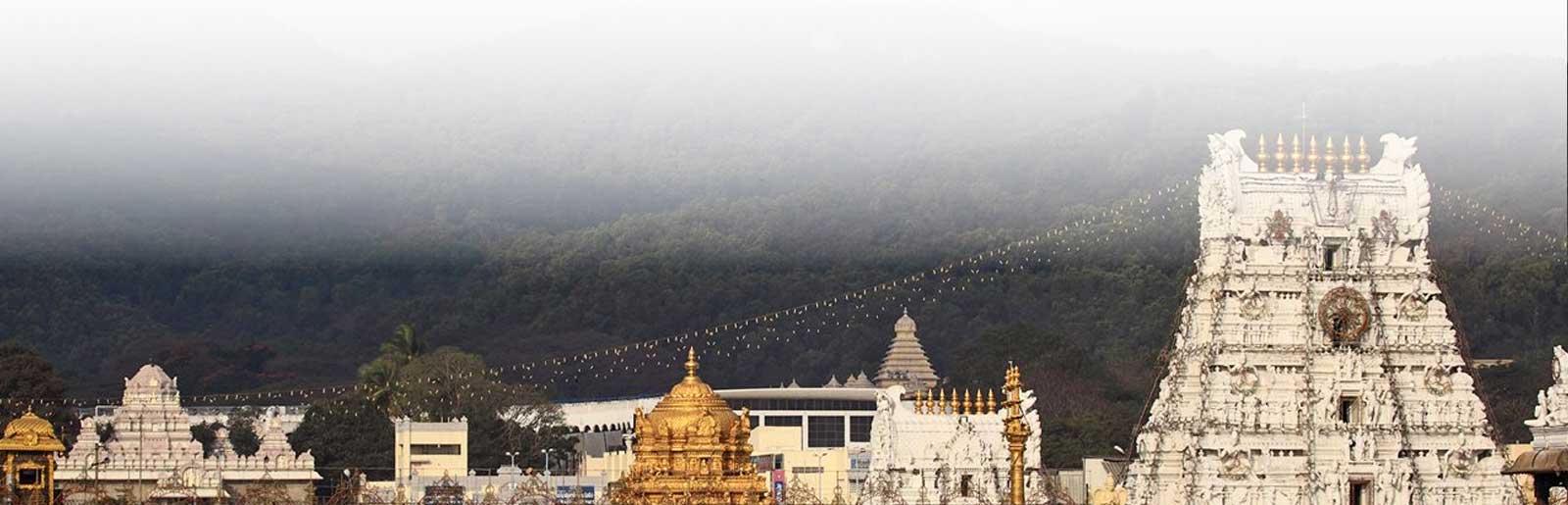 Ocean Leisure Infra Banner