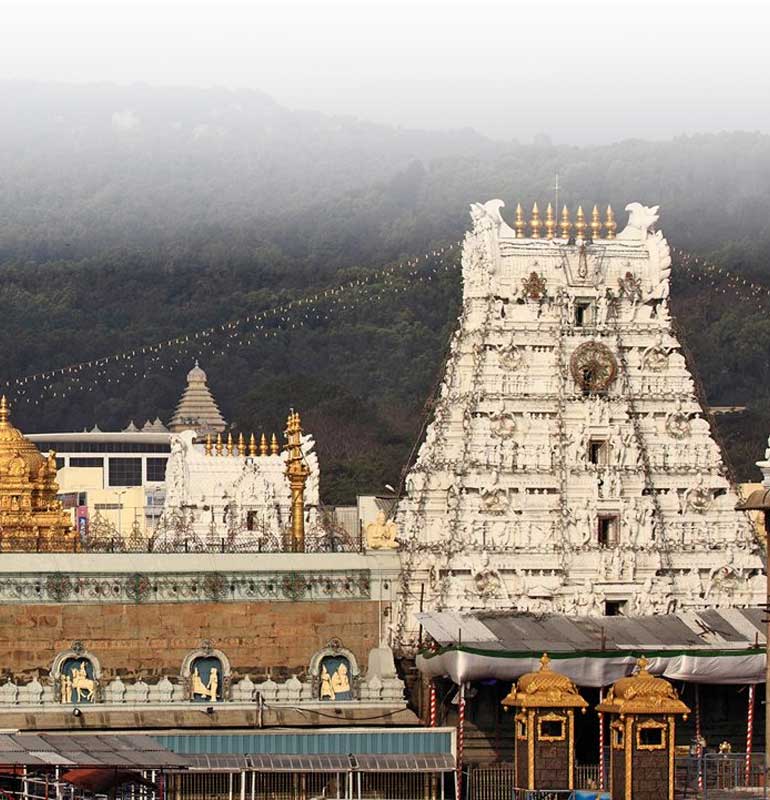 Ocean Leisure Infra Banner