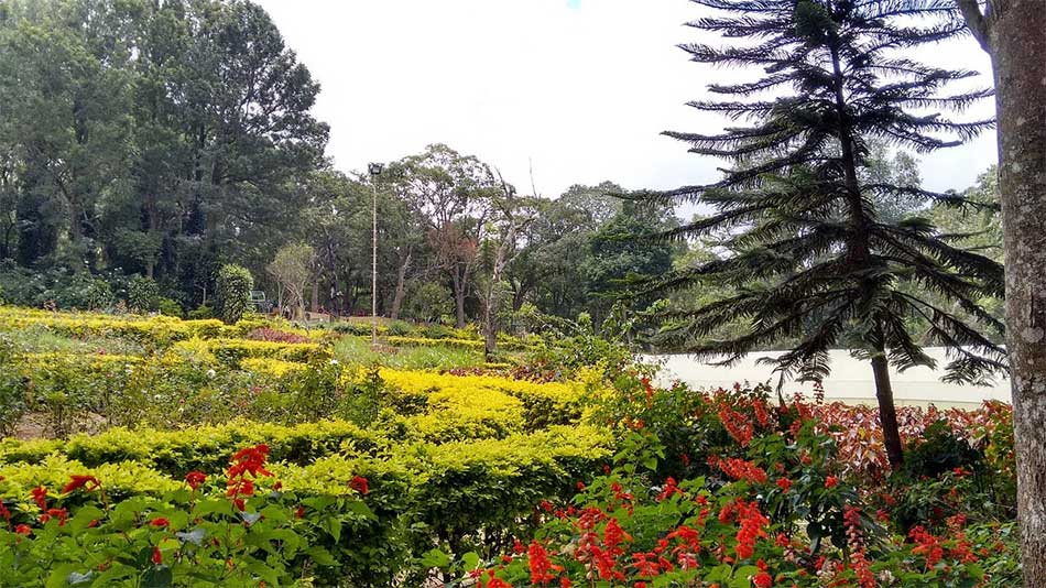 Ocean Leisure Infra gallery